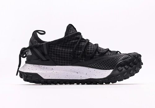 Nike ACG Mountain Fly Low sneakers